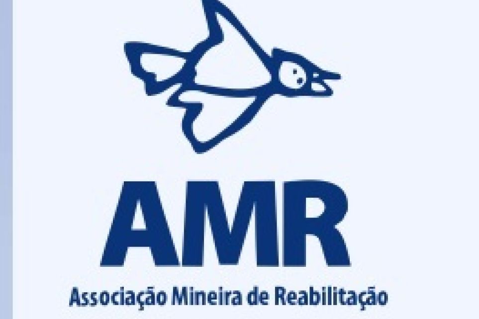 Doe fraldas para a AMR