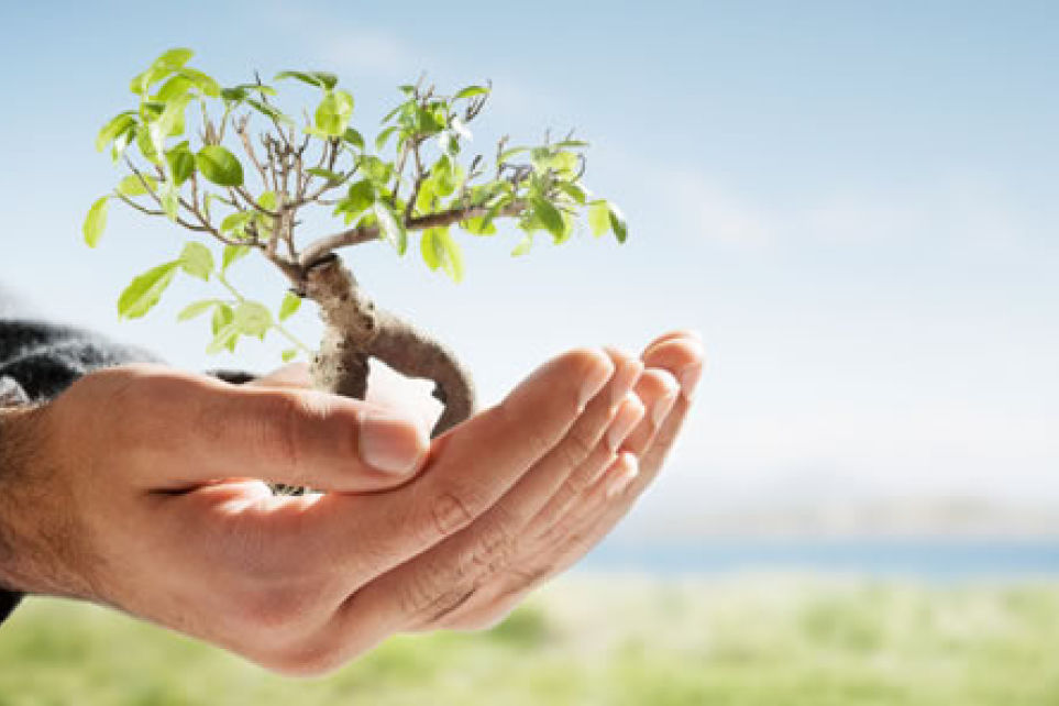 Educao Ambiental ser tema de treinamento do Setcemg