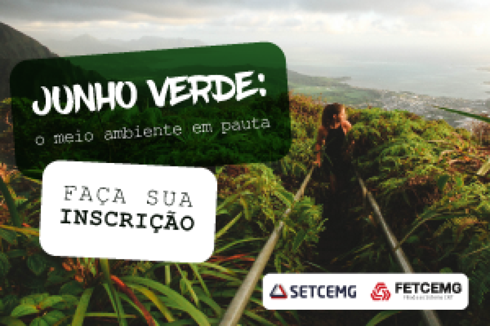 Vamos falar de meio ambiente e transporte?