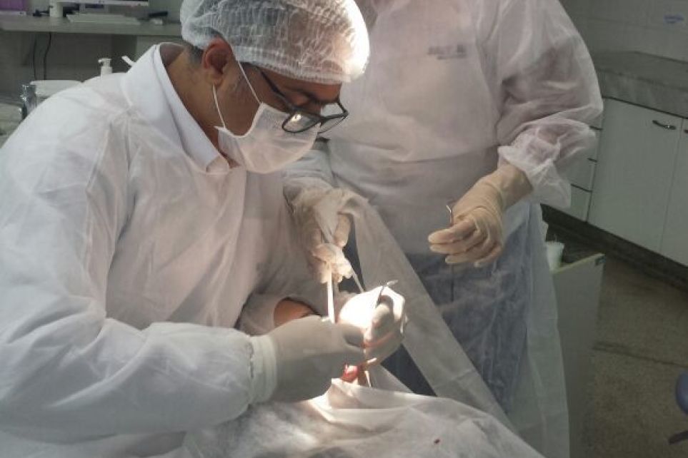 Uberlndia oferece nova especialidade em sua Clnica Odontolgica  
