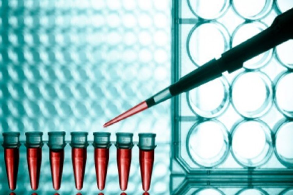 Fetcemg realizar a blitz educativa Exame Toxicolgico em Belo Horizonte
