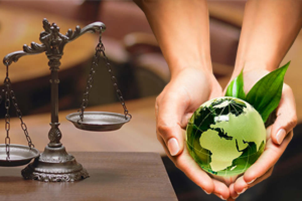 Fetcemg tambm conta com assessoria jurdico-ambiental