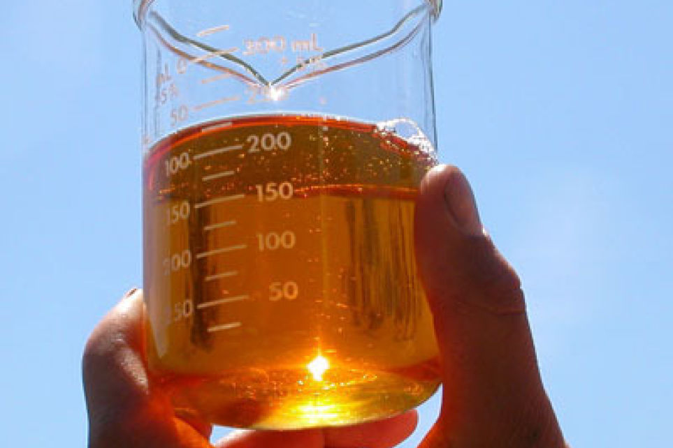 Diesel passa a ter 6% de biodiesel em sua composio