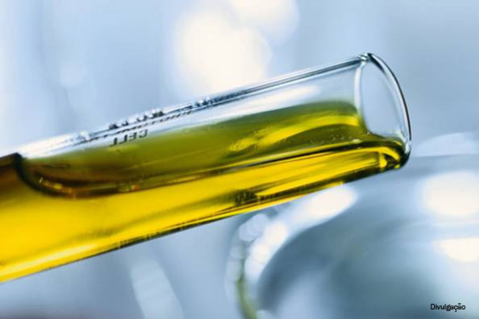 Governo estuda elevar percentual de biodiesel no diesel