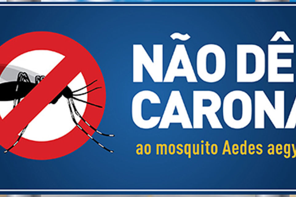 Sest Senat lana campanha nacional de combate ao Aedes aegypti
