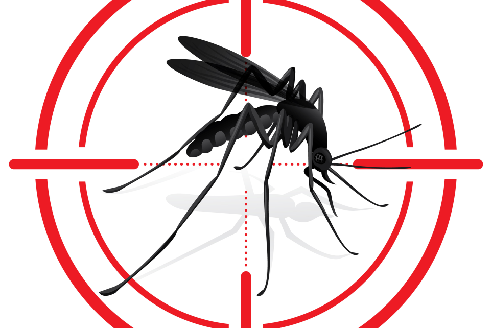 Eliminar o mosquito da dengue  responsabilidade de todos