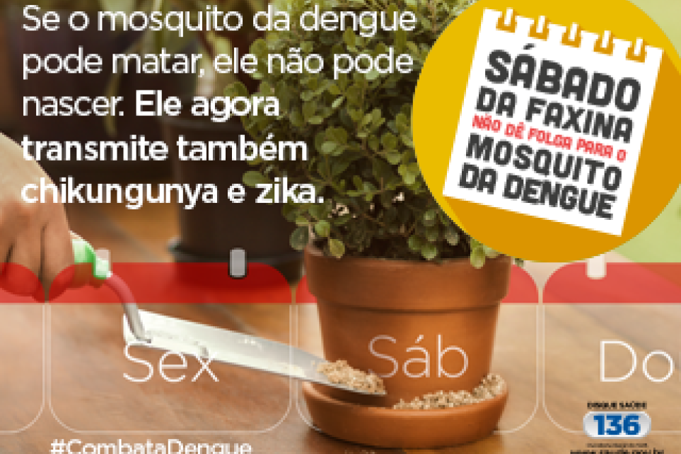 Eliminar o mosquito da dengue  responsabilidade de todos