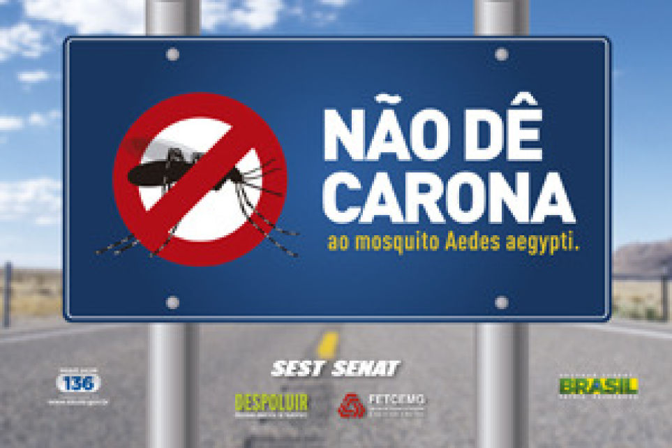 Despoluir entra na luta contra o Aedes aegypti