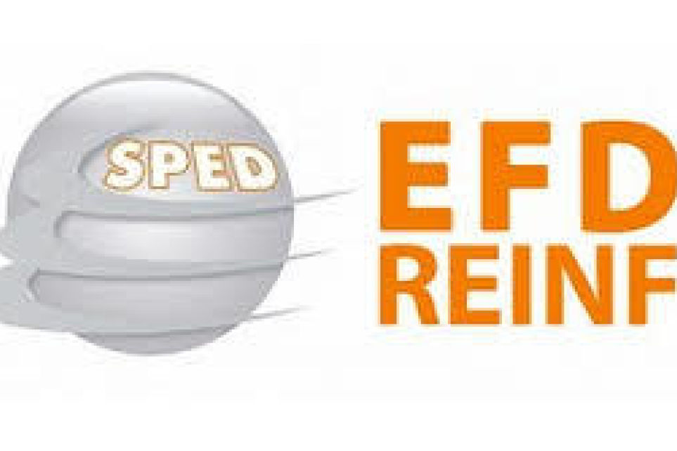 EFD - Reinf ser tema de capacitao do Setcemg