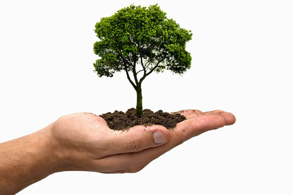 Setcemg oferece treinamento sobre Licenciamento Ambiental