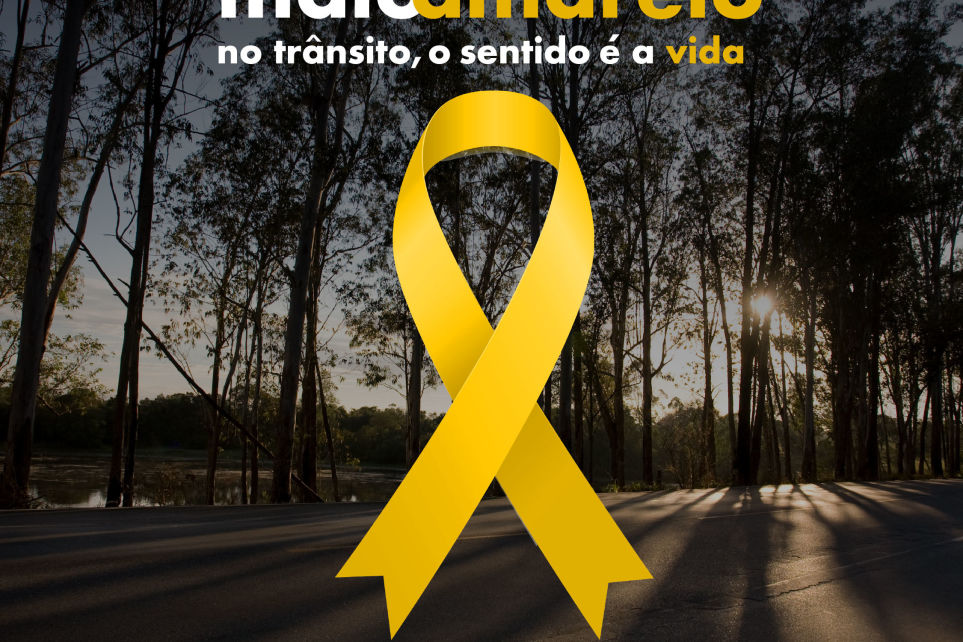Direo defensiva: ela pode salvar vidas!